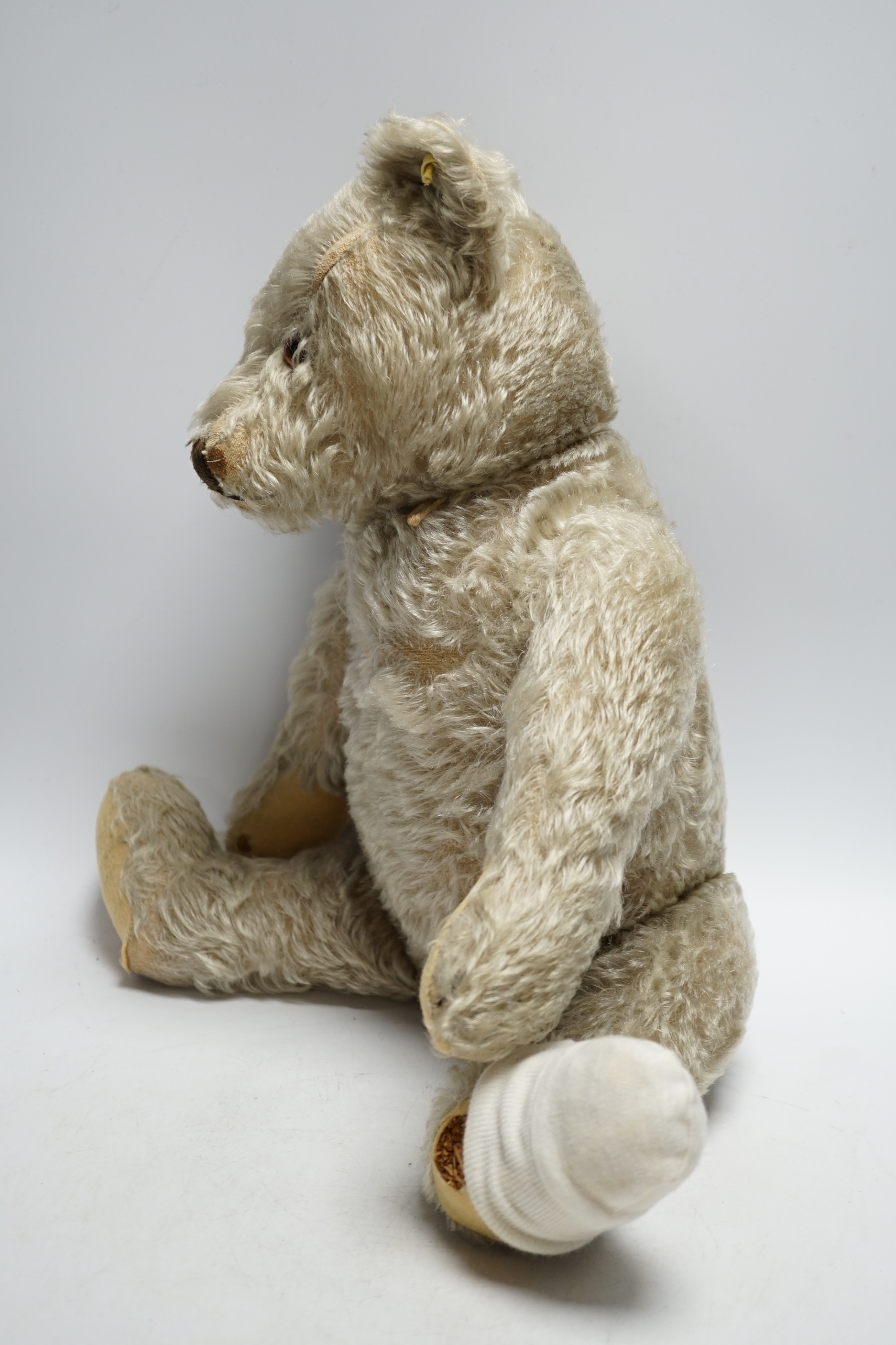 Steiff bear, c.1950's, button and label, 50cm, one ear loose, holes to paw pads, small patch of wear on chest